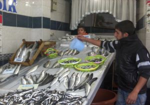 Yoksul 